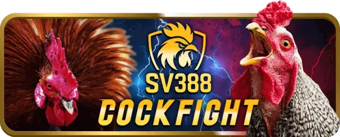 Dịch vụ chăm sóc khách hàng 24/7 của app 99win